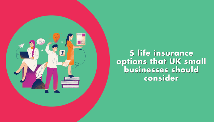 5 life insurance options that UK small businesses should consider (2)