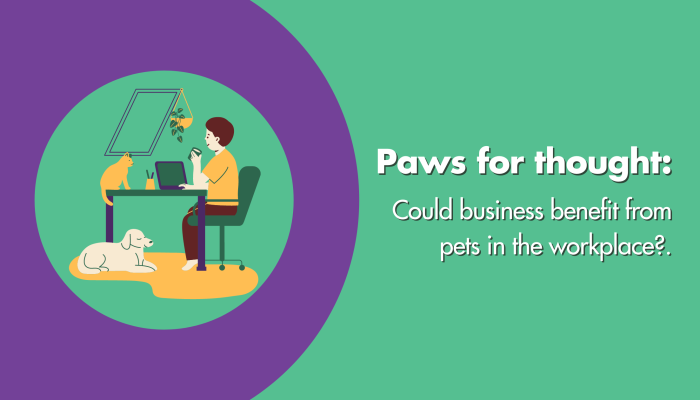 pets in the workplace