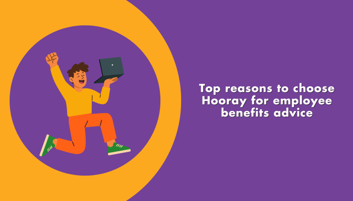 Top reasons to choose Hooray for employee benefits advice - happy man with laptop